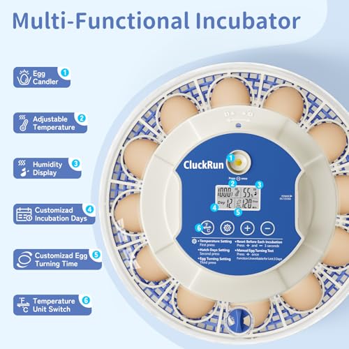 18 Egg Incubators for Hatching Eggs, Incubation Day Display, 2 Egg Trays, Automatic Egg Turning, Built-in Egg Candler, Auto Refill, Adjustable Air Vent, for Chicken, Quail, Duck, Turkey & Goose Eggs - size: 18 Eggs