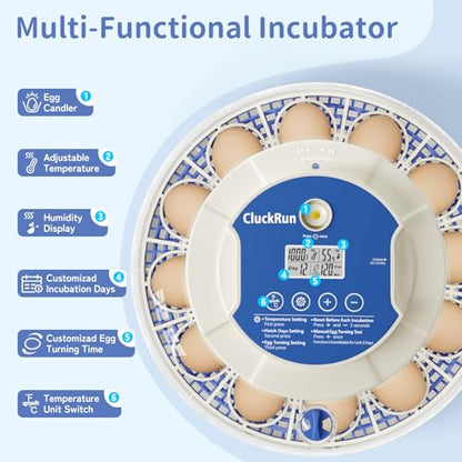 18 Egg Incubators for Hatching Eggs, Incubation Day Display, 2 Egg Trays, Automatic Egg Turning, Built-in Egg Candler, Auto Refill, Adjustable Air Vent, for Chicken, Quail, Duck, Turkey & Goose Eggs - size: 18 Eggs