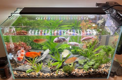 Advanced 7-Row LED Aquarium Light, Easy Setup Controller, Auto On Off Full Spectrum Fish Tank Light, 24/7 Lighting Cycle, 8 Colors, 10 Level Dimming, 26W for 18"-24" Freshwater Planted Tank - size: 18-24 inches