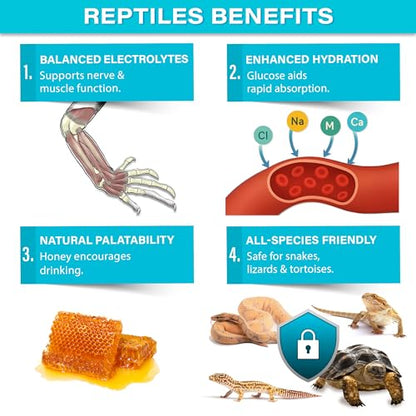 ReptiLyte Premium Electrolyte Drink Supplement for Reptiles | Daily Hydration & Wellness Support | Bearded Dragons, Geckos, Lizards, Tortoises, Snakes | 3.5oz | Made in USA. Enjoy!