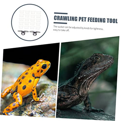 Reptile Feeder Set with Suction Cups Random Color Gecko Feeding Ledge and Water Bowl Stable Design for Chameleons and Lizards 2-Piece Terrarium Accessory
