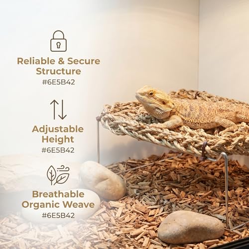 COLLBATH Bearded Dragon Hammock and Reptile Lounger with Natural Seagrass Basking Platform, Small Rectangle Pet Bed for Lizards, Geckos, and Frog Tank Habitat
