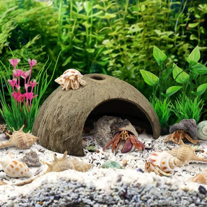 QUOZUO Hermit Crab Shells Natural Coconut Shell Hut Artificial Plants, 22 PCS Hermit Crab Supplies Seashells for House Hermit Crab Tank Habitat