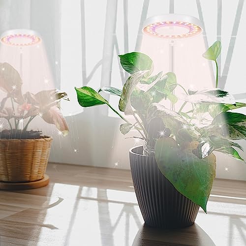 GooingTop LED Grow Light, Halo Plant Lamp for Indoor Plants Growing, White Low Light for Succulents Mini Small Plants Growth,Upgrade Timer 4/8/12/18 Hrs & Variable Spectrum,1 Pack