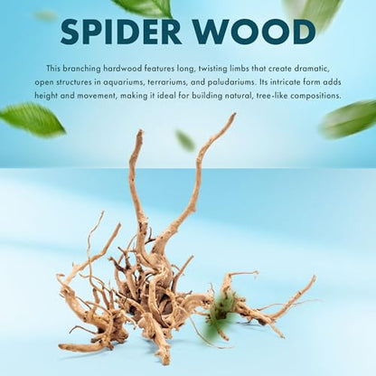 SubstrateSource Natural Aquarium Driftwood for Fish Tanks, Terrarium, Reptile Habitats, Freshwater Aquatic Decor - Small to Large Pieces (Spiderwood (Small) 4-6", 1 Piece) - size: 1 Piece
