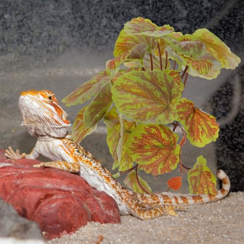 Cabilock Artificial Hanging Reptile Plant Ornament with Suction Cups, 23 Green Begonia Leaves Simulated Terrarium Decor for Amphibian Habitat and Lizard Tank