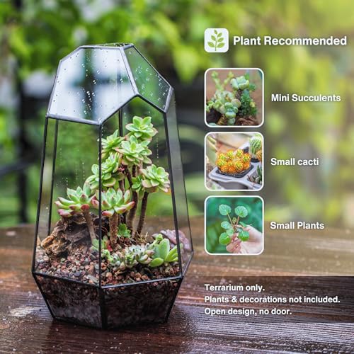 NCYP No Door Geometric Glass Terrarium Planter for Small Succulent, Small Cacti, Black Irregular Opened Terrarium Pot, Indoor Home Garden Office Tabletop Decor, 6.5" x 5.7" x 9.8" (No Plants) - size: 6.5"x5.7"x9.8"