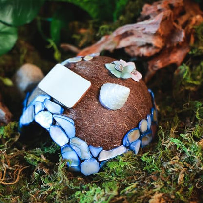 Reptile Hideouts, Handmade Handmade Reptile Home, Hide Cave for Crested Gecko, Leopard Gecko, Lizard, Snake, Crabs Hide Cave, Personalized Terrarium & Vivarium Décor(Conch) - style: Conch