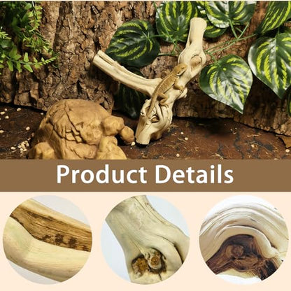 BNOSDM Reptile Branches, 5.9inch Snake Climbing Branch, Terrarium Wood Branch Decor, Bearded Dragon Tank Climbing Accessories for Lizard, Gecko, Chameleon, Frog