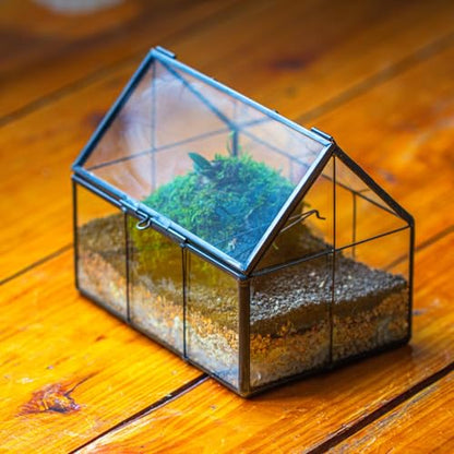 NCYP Mini Glass Terrarium with Lid - 6.1" x 4.25" x 4.92" House Shape Closed Planter for Mini Cactus, Succulents Plant, Moss - Home Garden Office Tabletop Geometric Decor, Black (Terrarium Only) - size: 6.1x4.25x4.92 inches