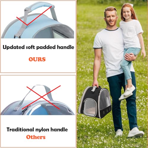 Bearded Dragon Travel Carrier,Lizards Cage, Small Animal Bag for Hedgehog Rat Parrot Bird Guinea Pig, Portable Guinea Pig Travel Carrier for 2 - color: Blue