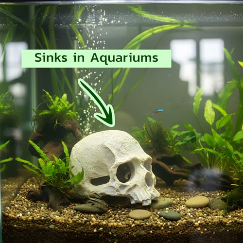 CTWPets Aquarium Human Skull Decor for Betta Fish, Sinking Hide Shrimp Hide