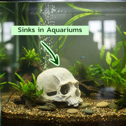 CTWPets Aquarium Human Skull Decor for Betta Fish, Sinking Hide Shrimp Hide