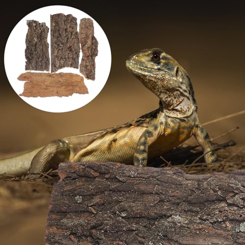 SEWACC 4pcs Natural Cork Bark Bits Reptile Bark Bedding Flat Cork Bedding Terrariums Substrate for Snake Spiders Bearded Dragons Frogs Tank Supplies