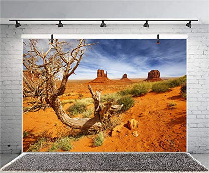 Leyiyi 5x4ft Monument Valley Photography Background American National Park Navajo Tribal Park Cowboy Western Desert Plant Rock Dry Trunk Warship Landmark Film Polyester Backdrop Terrarium Background - color: Desert4, size: 5x4ft-P