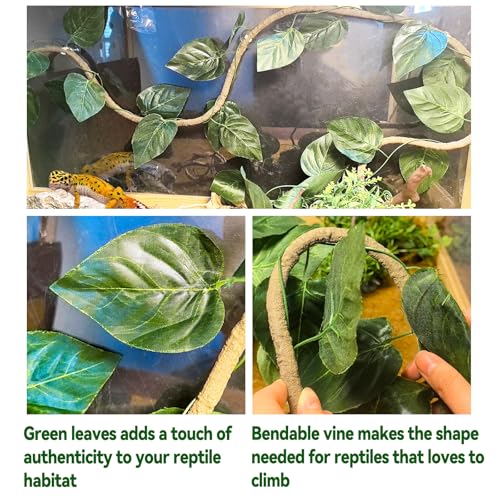Tfwadmx Crested Gecko Coconut Hide,Leopard Gecko Coco Hut Hideout Cave with Ladder,Reptile Hanging Coconut Hut & Climbing Vine,Ideal Habitat Accessory for Hermit Crab, Snake,Lizard