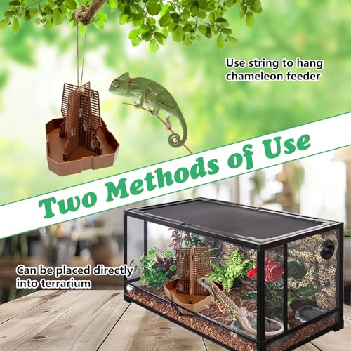 2PCS Reptile Hunting Bowl,4.4"×4.4"×4.7" H Insect Feeding Box with Rope and Tweezers Chameleon Feeder Bowls Hanging Bearded Dragon Bug Bowls Mounted Insect Reptile Feeder Box(Brown, Small) - color: Brown, size: Small:4.4"L×4.4"W×4.7"H