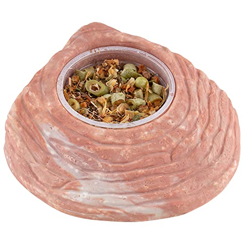 Healthy Herp Veggie Mix Instant Meal for Reptiles - Nutritious Bearded Dragon Accessories, Bearded Dragon Food - Made in USA - Quick Prep, for Box Turtles, Lizards, Tortoises - 7 x 0.16 oz (4.6g) Cups - size: 1.12 Ounce (Pack of 1), style: 7-Pack Cups