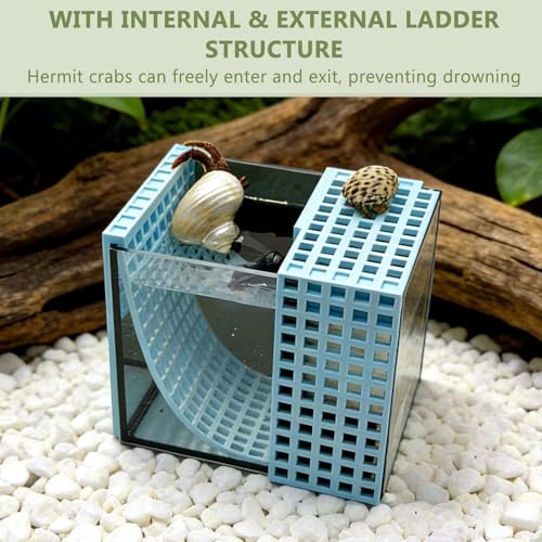 Mini Reptile Glass Terrarium Set, Hermit Crab Saltwater Glass Tank,with Filter Tank, Detachable Design, for Hermit Crabs, Small Saltwater Pets