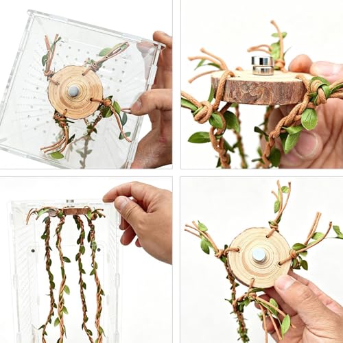 Jumping Spider Climbing Decor - 60g Reptile Cage Vines Enrichment | Comfortable Jumping Spider Enclosure Decor for Snakes Ball Pythons Chameleons Mantis Gecko Tortoise Frog Bearded Dragon
