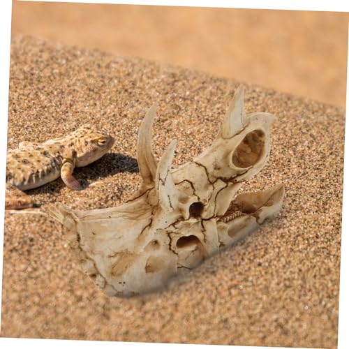 Dinosaur Skull Aquarium Decoration Resin Fish Tank Hideout for Reptiles Turtles and Aquatic Pets Unique Habitat Ornament for Decor