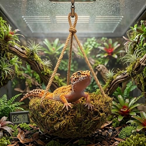 Humid Reptile Hide Leopard Gecko Tank Accessories Coconut Hide for Crested Gecko Tank Decor Handmade Moss Bearded Dragon Hammock Reptile Hideouts for Snake,Tortoise,Frog