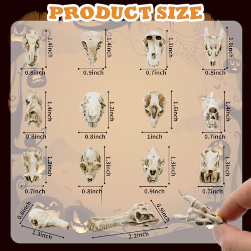 14 Pcs 1.5 Inch Mini Resin Animal Skull Heads Miniature Animal Skull Figurines Mini Halloween Skulls Mini Skull Figurine Miniature Skulls for Crafts Halloween Christmas Micro Landscape Decor