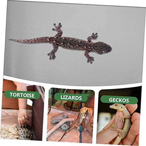 Reptile Carpet Terrarium Substrate Liner Large Bearded Dragon Bedding Snake Terrarium Accessories Eva Material Cut to Fit - color: White