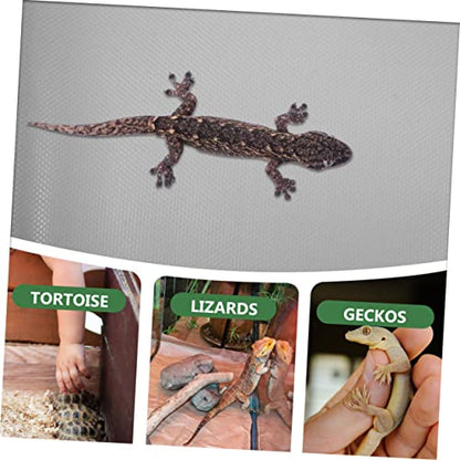 Reptile Carpet Terrarium Substrate Liner Large Bearded Dragon Bedding Snake Terrarium Accessories Eva Material Cut to Fit - color: White
