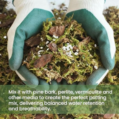 Dried Forest Moss for Plant Care, Sphagnum Potting Moss Suitable for Orchids, Carnivorous Plants, Succulents, Garden Blooms & Reptile Habitats (7 OZ) - style: 7 OZ
