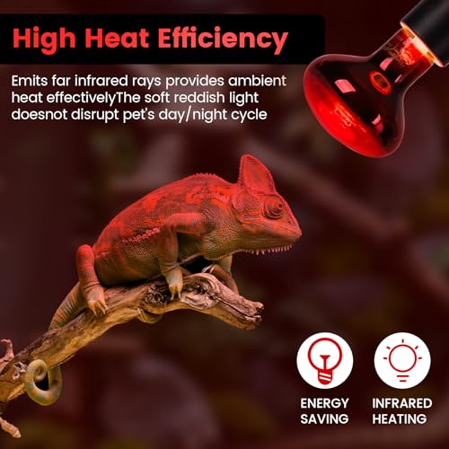 100W Infrared Heat Lamp Bulbs – 2-Pack Red IR Basking Light for Reptile & Amphibian, Silent Night-Time Heating, E26 Base, Bearded Dragon,Lizard,Turtle,Chicken - color: Red, size: 100W
