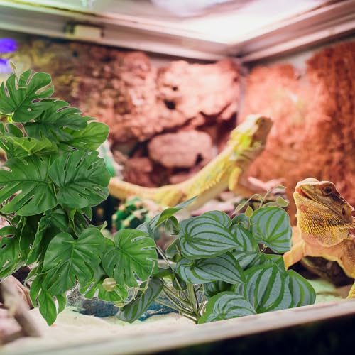 DOITOOL Artificial Reptile Plants Leaves 2pcs Set with Suction Cup Realistic Simulation Terrarium Decor for Reptile Tank Habitat 23 Watermelon Leaves for Snake Lizard Amphibian Enclosure