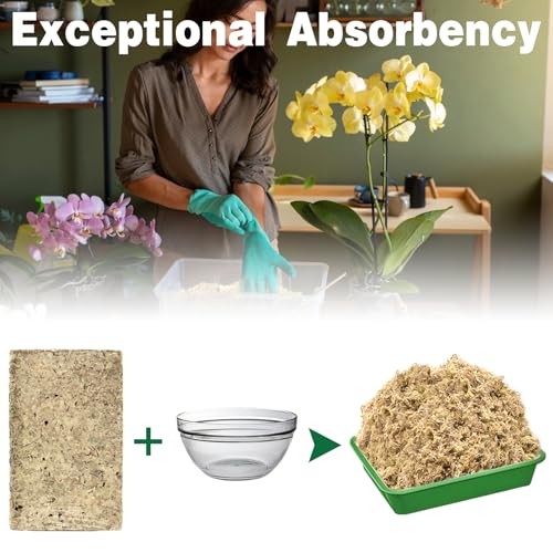 ZeeDix 12L Premium Sphagnum Moss for Plants Indoor, New Zealand Sphagnum Moss for Orchid Potting Mix Terrarium Succulent Carnivorous Ferns Hosta Garden & Reptile Habitat - size: 12L