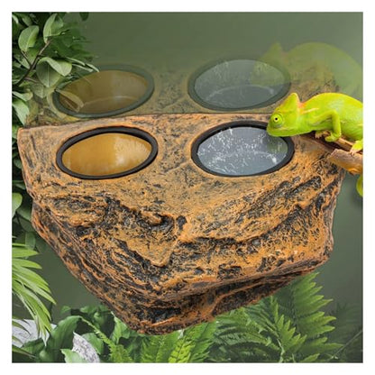 Magnetic Reptile Feeder Ledge Reptile Food Water Dish with 2 Bowl Gecko Lizards Tree Frogs Chameleons Tank Feeder Ledge