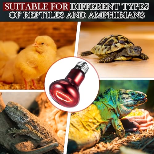 VIHOSE 6 Pack 75 W Reptile Heat Bulbs Red Heat Lamp Bulb Infrared Lamp Red Basking Light Bulbs for Reptiles, Bearded Dragon, Lizard, Tortoise, Chickens, Leopard Gecko, Amphibian, Pets - color: Infrared