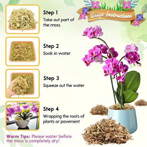 Riare 5.3 OZ Premium Sphagnum Moss for Plants- 6QT Natural Long Fiber Sphagnum Peat Moss Dried, Plants Moss Orchid Potting Mix for Orchids Repotting, Carnivorous Succulent Potted Plants and Reptiles - size: 6QT/5.3oz