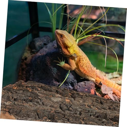 TOYANDONA 2pcs Cork Bark for Reptiles Tree Bark Hideout for Aquariums and Terrariums Climbing Surface for Bearded Dragons and Lizards Flexible Configuration for Any Fish Tank