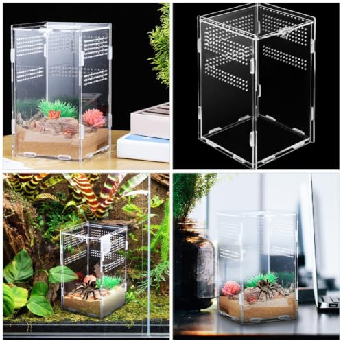 Acrylic Reptile Terrarium with Modular Design and Secure Lock, Well-Ventilated Breeding Box for Small Pets and Snakes, Easy Assembly Habitat Cage for Reptile and Spider Enclosure