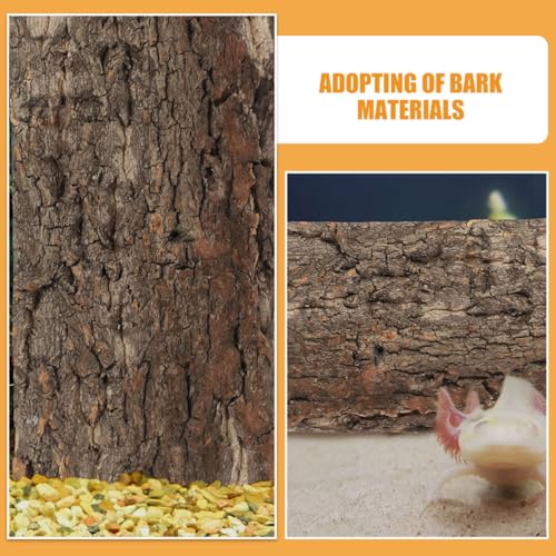 Totority 3pcs Bark Backdrop for Reptile Tanks Aquarium Background and Lightweight Terrarium Decoration Creates Comfortable Habitat for Lizard Snake Fish