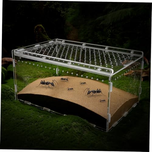 POPETPOP Acrylic Reptile Terrarium Habitat for Spiders, Snakes, Lizards, Geckos, Hermit Crabs, Turtles, 11.81x7.87x5.91in