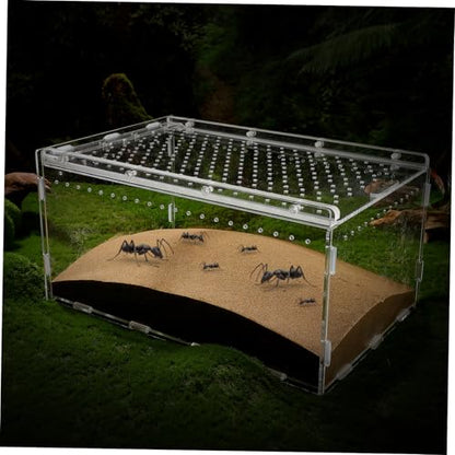 POPETPOP Acrylic Reptile Terrarium Habitat for Spiders, Snakes, Lizards, Geckos, Hermit Crabs, Turtles, 11.81x7.87x5.91in