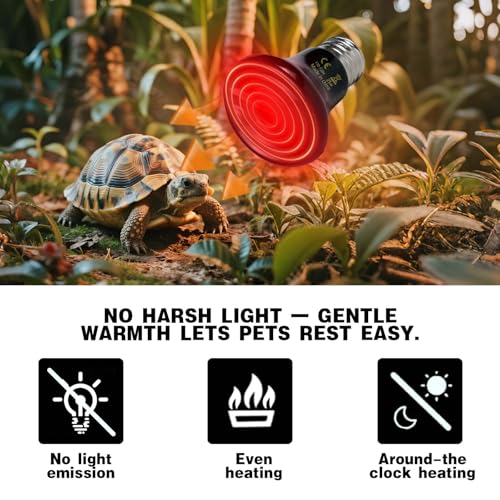 25W Reptile Heat Lamp(2-Pack) Ceramic Heat Emitter- Non-Light Emitting, 24/7 Safe Heating for Terrariums, Brooders & Incubators-Turtle Lizard Bearded Dragon Snake Small Pets E26 - size: 25 Watts