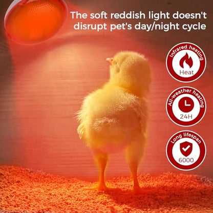 Infrared Heat Lamp for Chickens, 250 Watts Red Heat Lamp Bulb, Heat Light Bulb for Brooder Coop, Food Service, Chicks, Pet, Reptile, 2 Pack - size: 2 Count (Pack of 1)