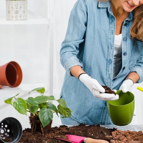 Doter Organic Pothos Soil Mix 2qt, Indoor Plants Potting Mix for All Potted Pothos, Grow Healthy houseplants Indoors - size: 2qt