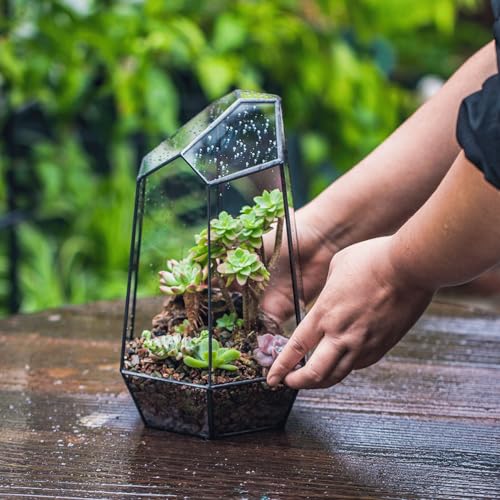 NCYP No Door Geometric Glass Terrarium Planter for Small Succulent, Small Cacti, Black Irregular Opened Terrarium Pot, Indoor Home Garden Office Tabletop Decor, 6.5" x 5.7" x 9.8" (No Plants) - size: 6.5"x5.7"x9.8"