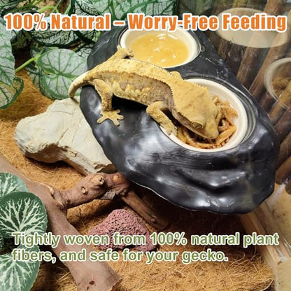 Tfwadmx 120Pcs Paper Gecko Feeding Cups,Samll 1oz Crested Gecko Food Dish,Reptiles Food and Water Bowls Feeder Ledge Accessories Cups for Lizards,Spiders,Frogs - size: 120 pcs