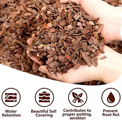Legigo 2 Quarts Organic Orchid Potting Bark & 2 Quarts Natural Sphagnum Moss Potting Mix-Premium Growing Medium for Orchids, Succulents, Carnivorous Plants & Reptiles