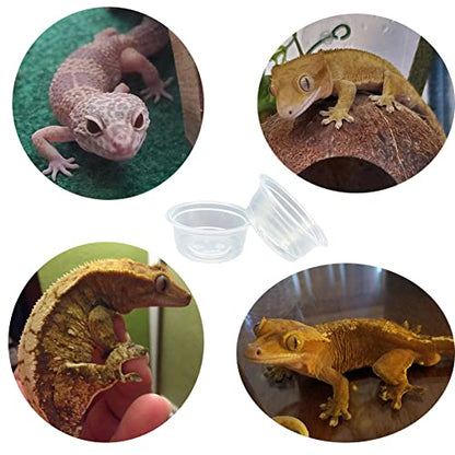 100 pcs Small Gecko Food and Water Cups Plastic Reptile Feeding Bowls Ledge Accessories for Crested Gecko Lizards Small Pets, 0.5 oz