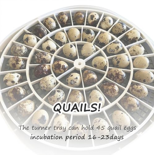 Egg Turner Tray Replacement fit for Nurture | sturdy plastic, fit for small quail eggs, 45 holders, perfect replacement, egg hatching tray