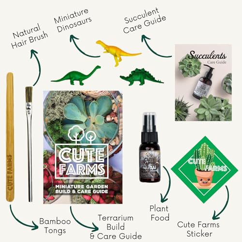 Cute Farms Terrarium Starter Kit | Moss, Vermiculite, Soil, Pebbles, Plant Food, Finishing Tools, Build and Care Guide | DIY Succulent Terrarium (Small) - size: Small Kit